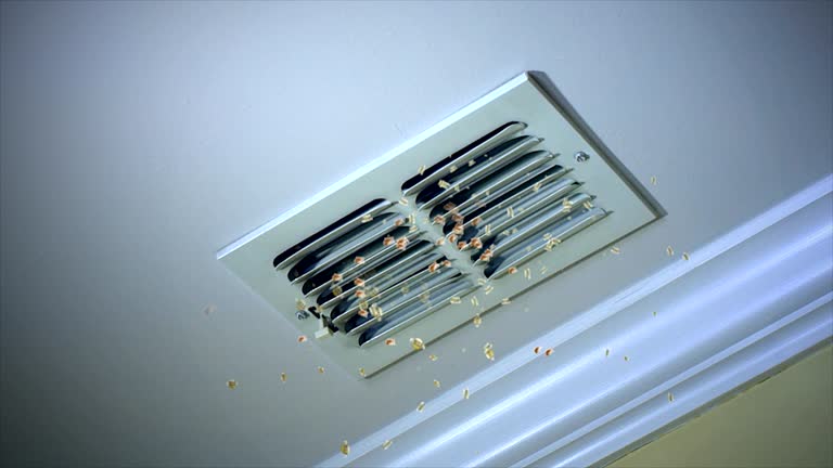 Trusted Hayti, PA Airduct Cleaning Experts