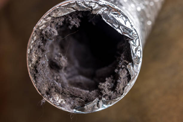 Best HVAC Duct Inspection Services  in Hayti, PA